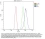Anti-Glycine decarboxylase/GLDC Antibody Picoband®