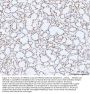Anti-HMGN2 Antibody Picoband®