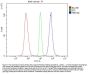 Anti-HMGN2 Antibody Picoband®