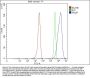Anti-Pancreatic Lipase/PNLIP Antibody Picoband®