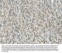 Anti-Synaptophysin/SYP PicobandÂ® Antibody