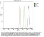 Anti-BCAT1 Antibody Picoband®