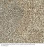 Anti-Transcription factor HES-5 HES5 Antibody