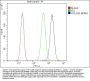 Anti-GM130/GOLGA2 Antibody Picoband®