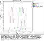 Anti-GM130/GOLGA2 Antibody Picoband®