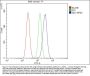 Anti-NOV/CCN3 Antibody PicobandÂ®