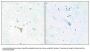 Anti-RECK Antibody