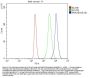 Anti-RNASEH2B Antibody PicobandÂ®