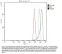 Anti-ERp72/PDIA4 Antibody PicobandÂ®