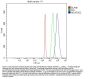 Anti-NEUROD2 Antibody Picoband®