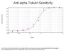Anti-alpha-Tubulin Tuba1b Antibody