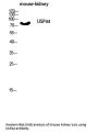 Anti-USP44 Antibody