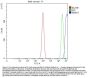 Anti-RBM17 Antibody Picoband®