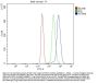 Anti-PITRM1 Antibody Picoband®