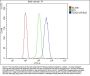 Anti-ETF/TEAD2 Antibody PicobandÂ®