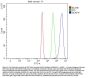 Anti-NCAPH Antibody Picoband®