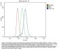 Anti-P2Y14/P2ry14 Antibody Picoband®