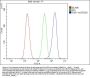 Anti-P2Y14/P2ry14 Antibody Picoband®
