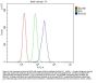 Anti-RGS18 Antibody Picoband®