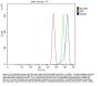Anti-SNX31 Antibody Picoband®