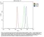 Anti-RNF44 Antibody Picoband®