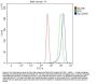Anti-SLC25A51/52 Antibody Picoband®