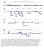 Anti-H4K5ac HIST1H4A Antibody