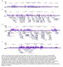 Anti-EZH2/Kmt6 Antibody
