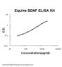 Horse equine BDNF ELISA Kit PicoKine®