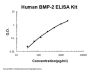 Human BMP-2 ELISA Kit PicoKine®