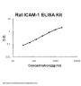 Rat ICAM-1 ELISA Kit PicoKine®