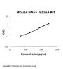Mouse BAFF ELISA Kit PicoKine®