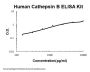 Human Cathepsin B ELISA Kit PicoKine®