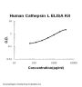 Human Cathepsin L ELISA Kit PicoKine®