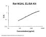 Rat Lipocalin-2/NGAL ELISA Kit PicoKine®