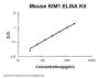 Mouse KIM1 / TIM1 ELISA Kit PicoKine®