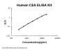 Human CEA / Carcino Embryonic Antigen ELISA Kit PicoKine®