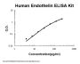 Human Endothelin ELISA Kit PicoKine®