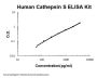 Human Cathepsin S / CTSS ELISA Kit PicoKine®