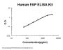 Human Seprase/FAP ELISA Kit PicoKine®