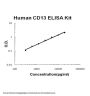 Human CD13/Aminopeptidase N ELISA Kit PicoKine®