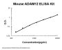 Mouse ADAM12 ELISA Kit PicoKine®