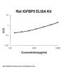 Rat IGFBP5 ELISA Kit PicoKine®