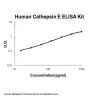 Human Cathepsin E ELISA Kit PicoKine®
