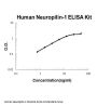 Human Neuropilin-1 ELISA Kit PicoKine®