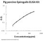 Pig porcine Epiregulin ELISA Kit PicoKine®