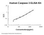 Human Caspase 3/CASP3 ELISA Kit PicoKine®