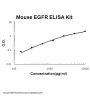 Mouse EGFR ELISA Kit PicoKine®