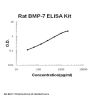 Rat BMP-7 ELISA Kit PicoKine®