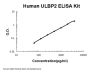 Human ULBP2 ELISA Kit PicoKine®